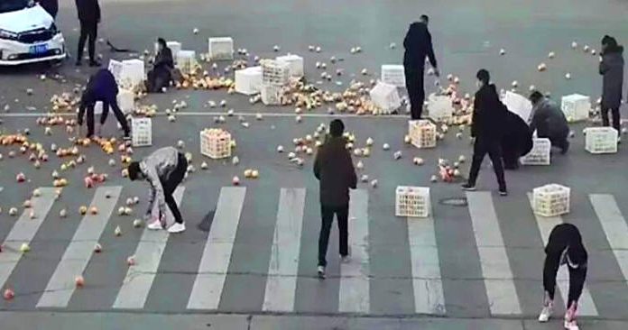 Kinijoje per nelaimingą atsitikimą dviratininkui pabiro vežami obuoliai judrioje miesto gatvėje, bet kiti vairuotojai sustojo ir padėjo juos surinkti (vaizdo įrašas)