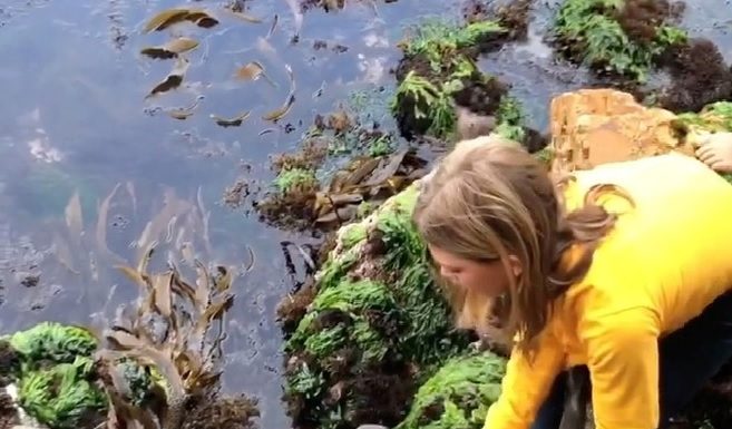 11 metų mergaitė išgelbėjo ryklį plikomis rankomis (vaizdo įrašas)