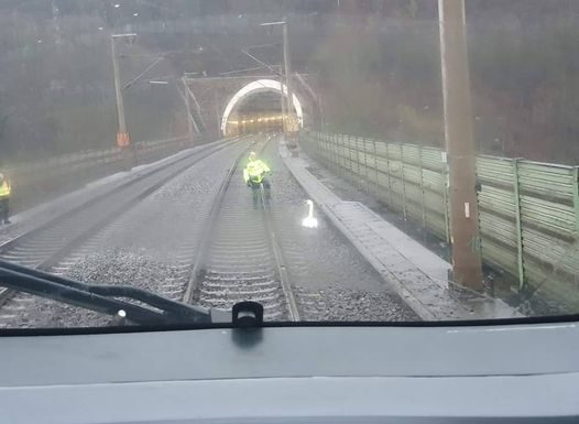 23 traukiniai laukė 50 minučių, kol gulbė atlaisvins bėgius. Priežastis – neįtikėtina