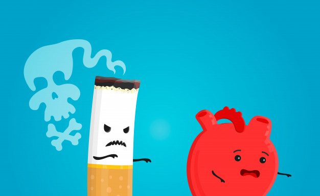 15 įdomių faktų apie širdį, kurių jūs galbūt ir nežinote