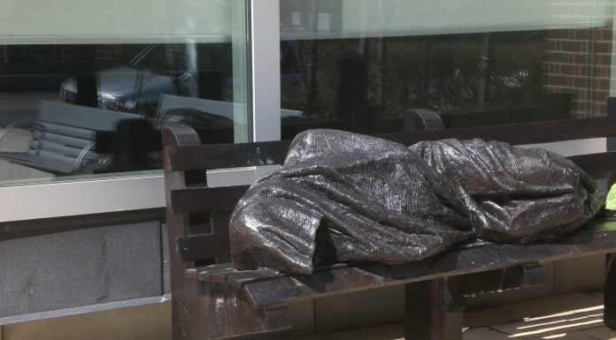 14 keistų faktų, kurie verčia šypsotis