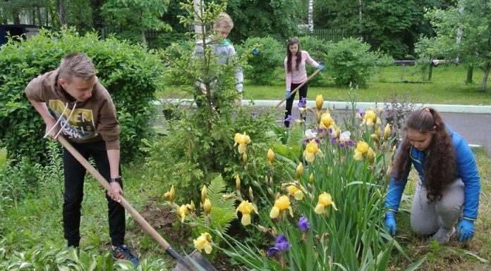 20 dalykų, kuriuos reikia padaryti vasarą