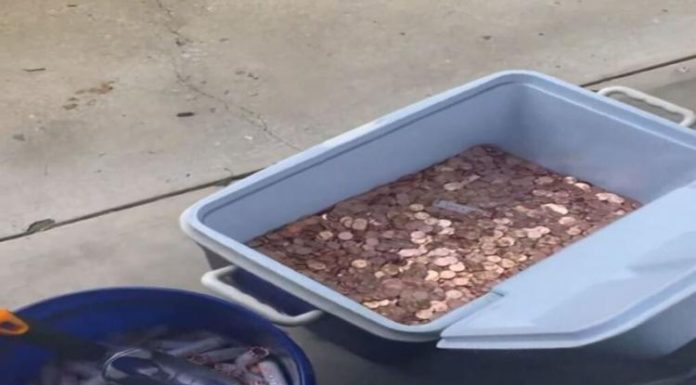 Tėvas sumokėjo alimentus centais, bet duktė neįsižeidė – paaukojo pinigus smurto artimoje aplinkoje pagalbos centrui (vaizdo įrašas)