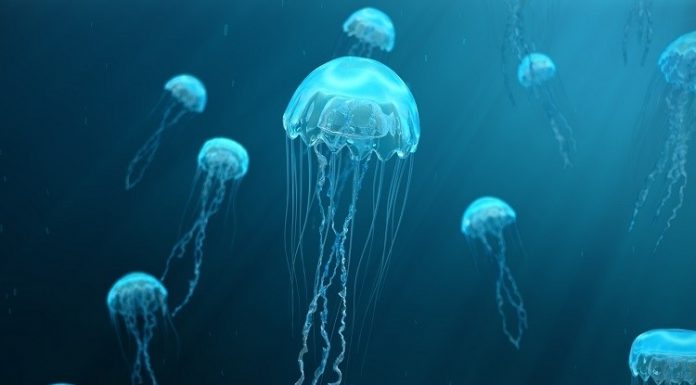 10 šokiruojančių gyvenimo faktų, kurių daugelis gal ir nežino