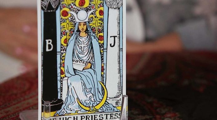 Taro kortų prognozės dvylikai Zodiako ženklų vasario 28 – kovo 6 dienomis