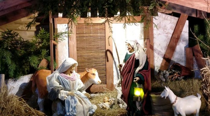 Kalėdos ir gyvūnai: visais laikais padėdavo šunys, o pasirodant Viešpaties angelui, šalia piemenų visada buvo šis avių sargas! (vaizdo įrašas)