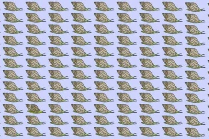 skirtingi